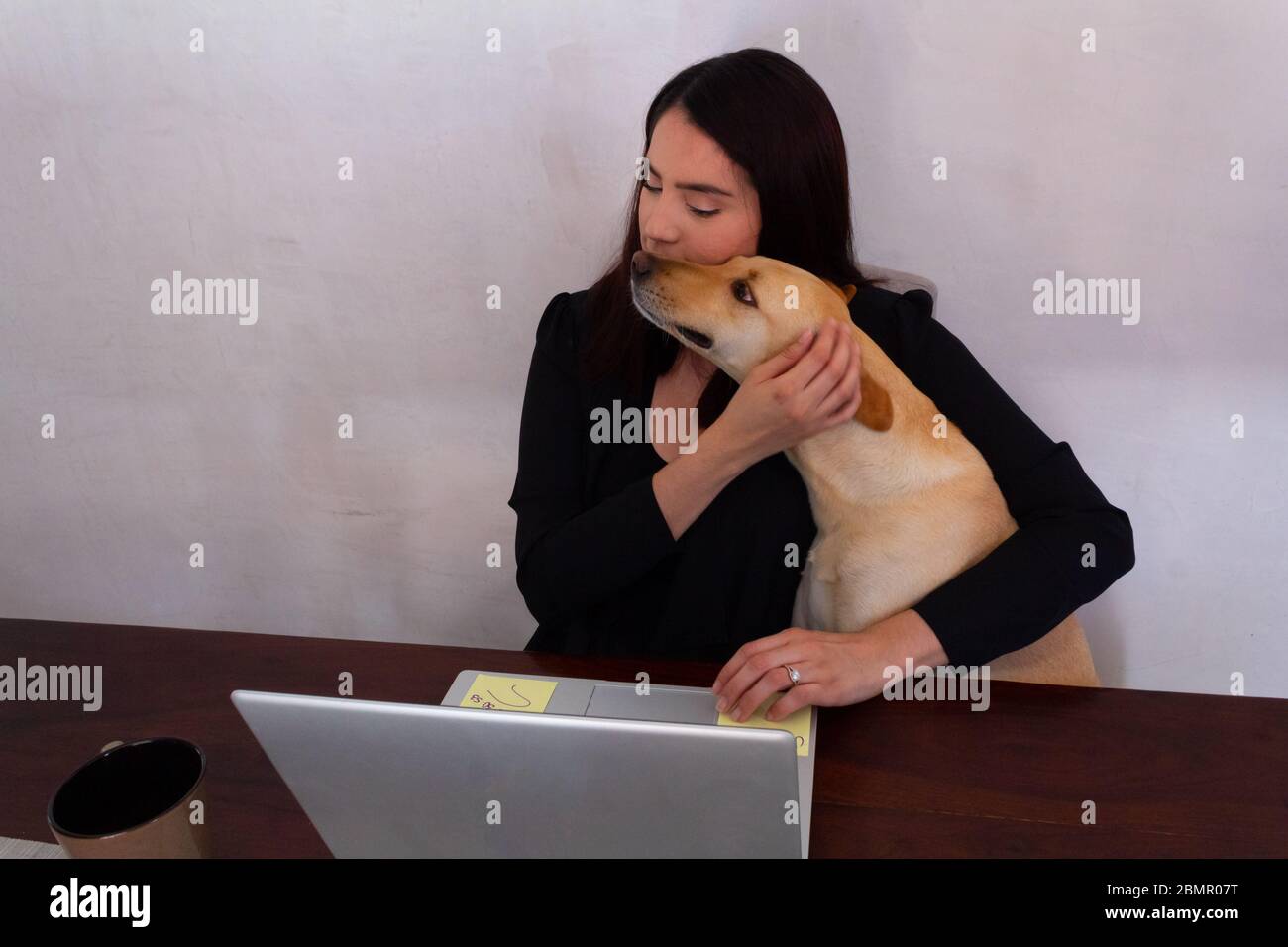 Junge hispanische Frau in schwarzer Kleidung, die mit einem weißen Laptop im Homeoffice arbeitet, wird von ihrem Haustier-Hund unterbrochen Stockfoto