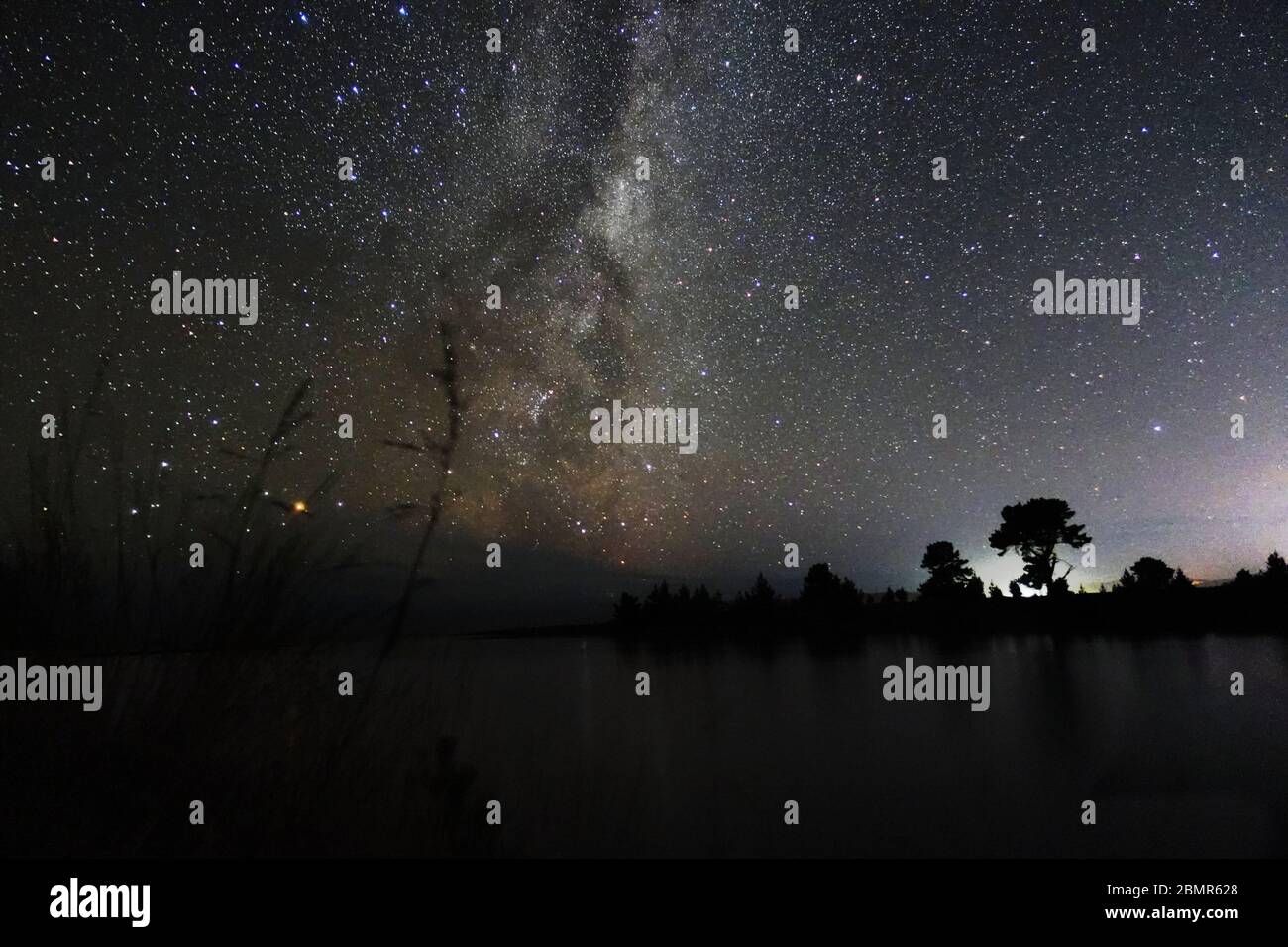 Stars und Milchstraße am Wairau River, in der Nähe von Blenheim, Malborough, Neuseeland, 2019 Stockfoto