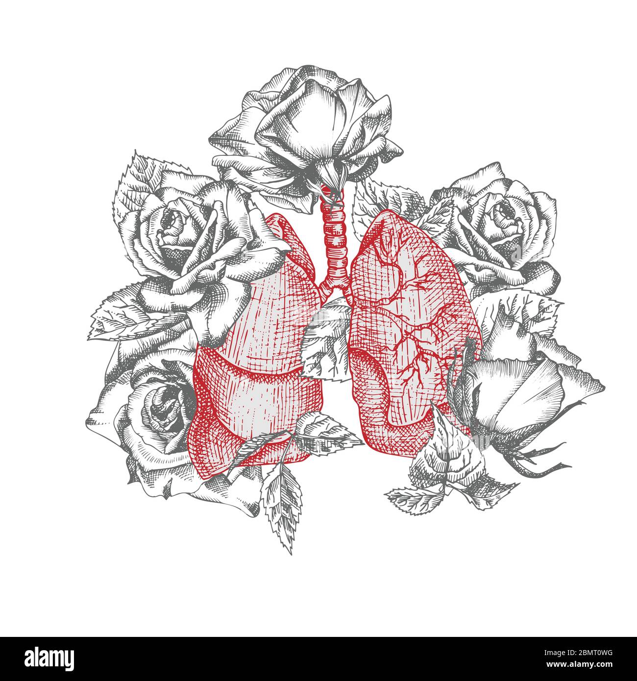 Lungen mit Strauß Rosen realistische handgezeichnete Ikone des menschlichen inneren Organs und des Blumenrahmens. Gravur Kunst. Skizzenstil. Designkonzept für die Medizin Stock Vektor