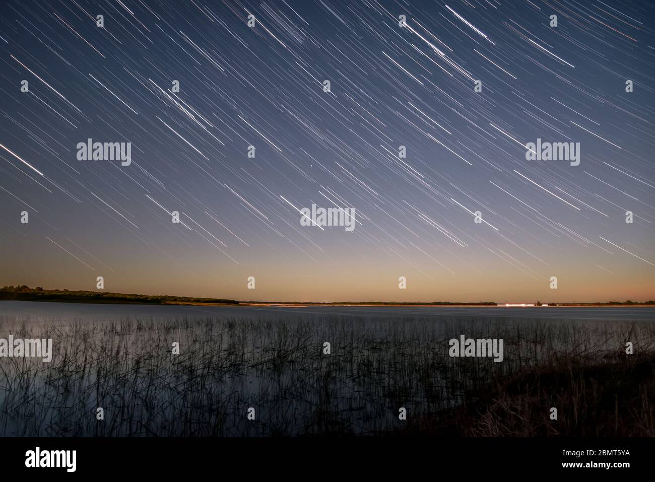 Schöner Blick auf den Nachthimmel mit Sternen in Form von Spuren über dem See und Gras im Wasser im Vordergrund Stockfoto