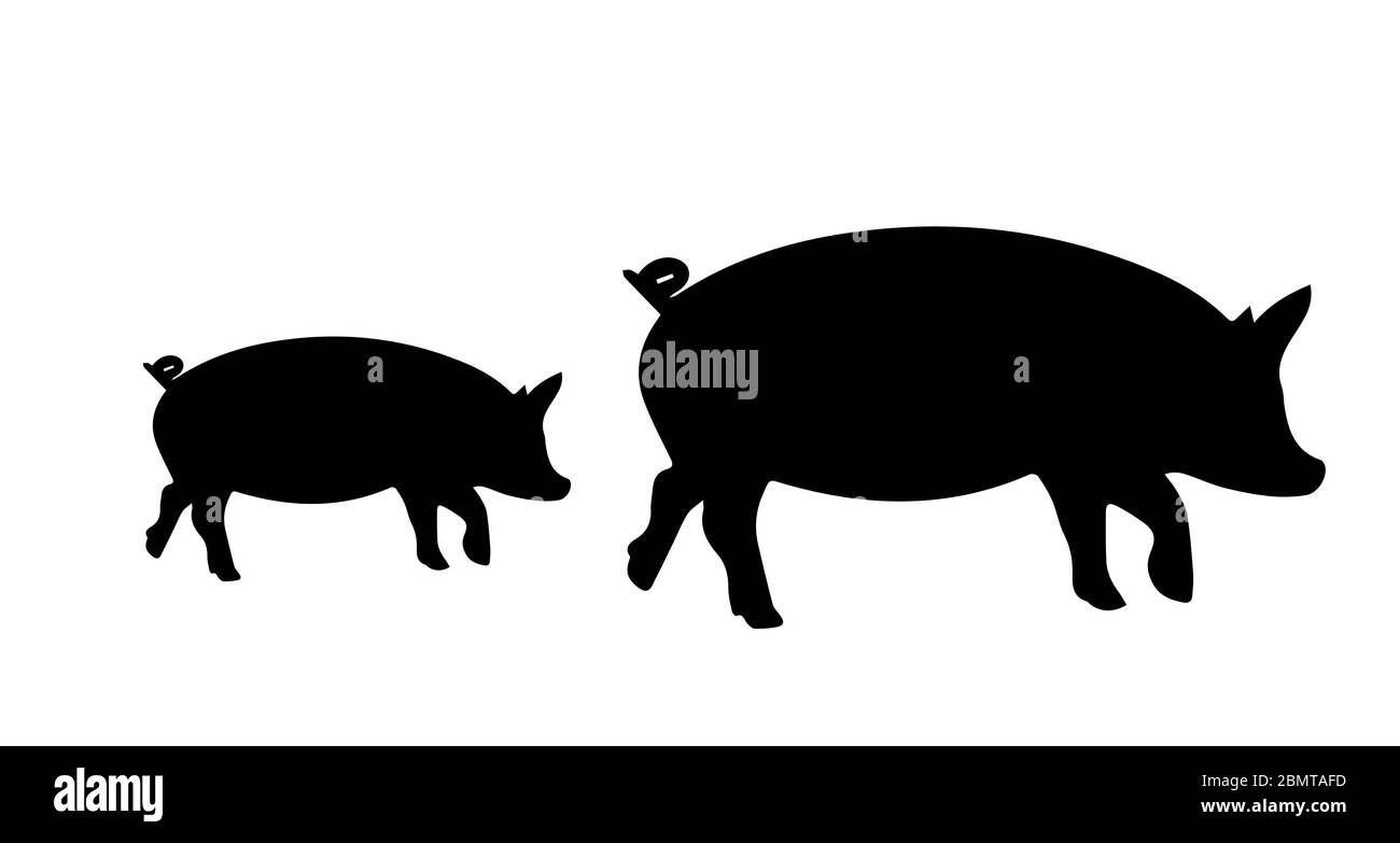 Pig Silhouette Auf Weißem Hintergrund Stockfoto