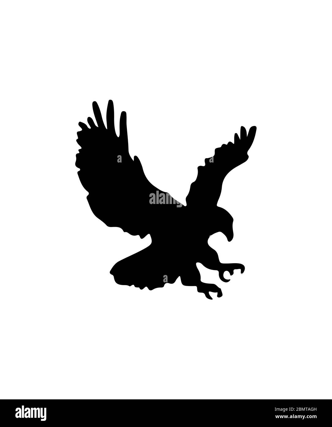 Flying Eagle Silhouette Weißer Hintergrund Stockfoto