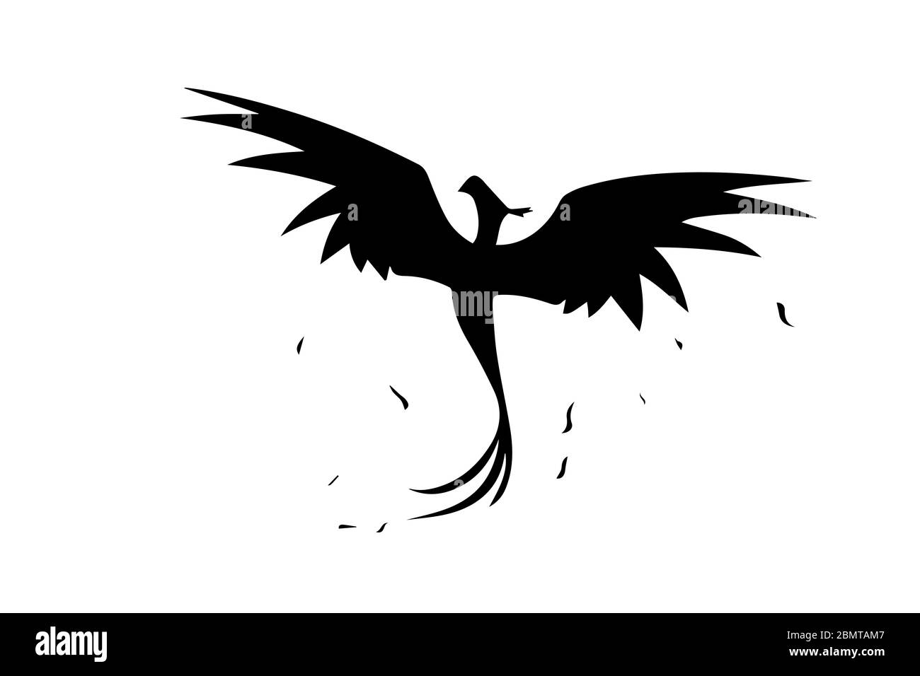 Papagei Silhouette auf weißem Hintergrund Stockfoto