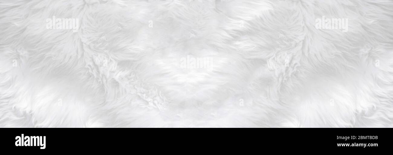 Breite Tier weiße Wolle Schafe Hintergrund in der oberen Ansicht Licht natürlich. Graue flauschige nahtlose Baumwolle Panorama-Textur. Faltiges Lammfell Fell Fell Haut, Teppich Matte Stockfoto