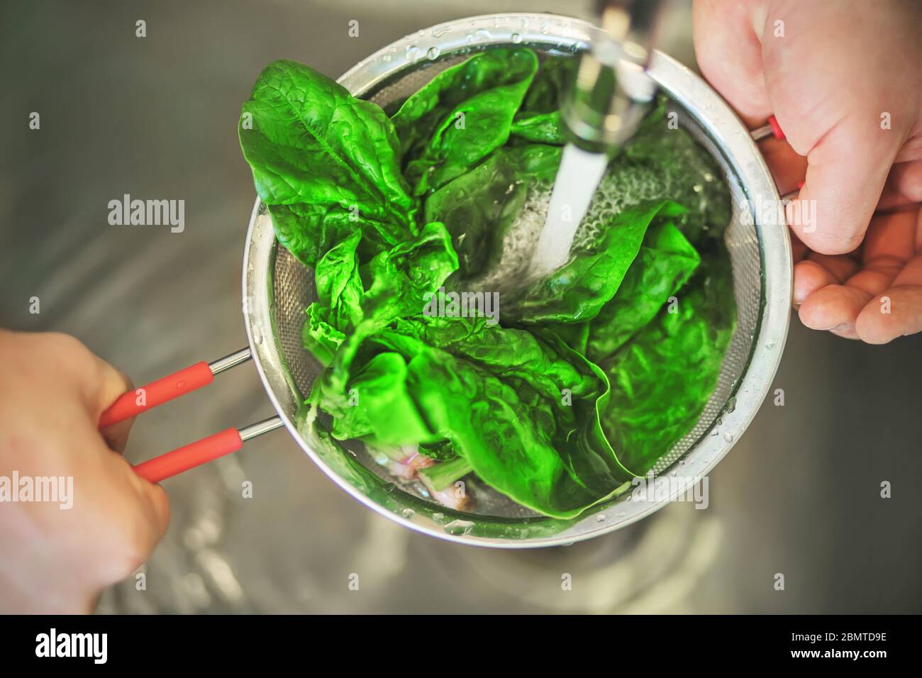Eine Person wäscht die Blätter von grünem reifen Spinat in einem Sieb unter einem Strom von sauberem Wasser aus dem Wasserhahn. Zutat zum Kochen. Stockfoto
