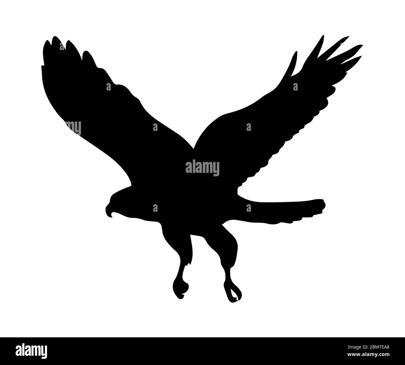 Eagle Silhouette auf weißem Hintergrund. Stockfoto