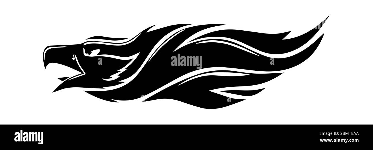 Eagle Silhouette auf weißem Hintergrund. Stockfoto