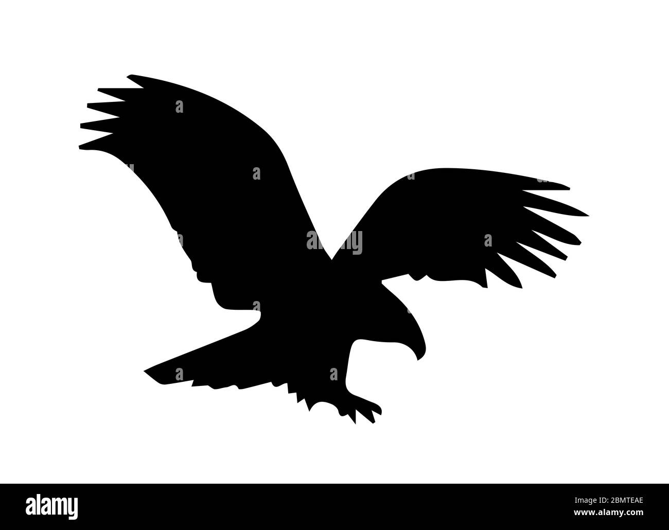 Eagle Silhouette auf weißem Hintergrund. Stockfoto