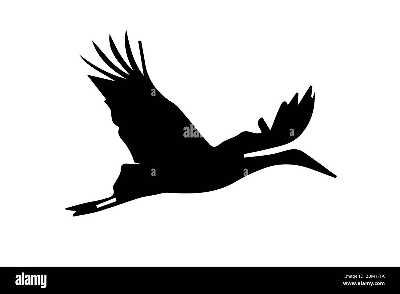 Silhouette des Storches auf weißem Hintergrund Stockfoto