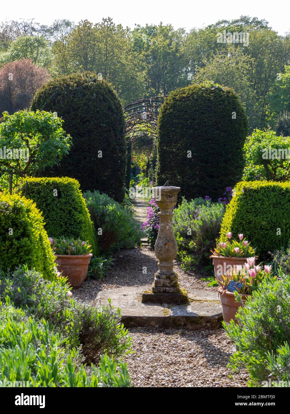 Sonnenuhr Pfad mit topiary führt in die Bögen Kletterpflanze Spaziergang im Chenies Manor Garten im Frühjahr.Portrait Aspekt. Stockfoto