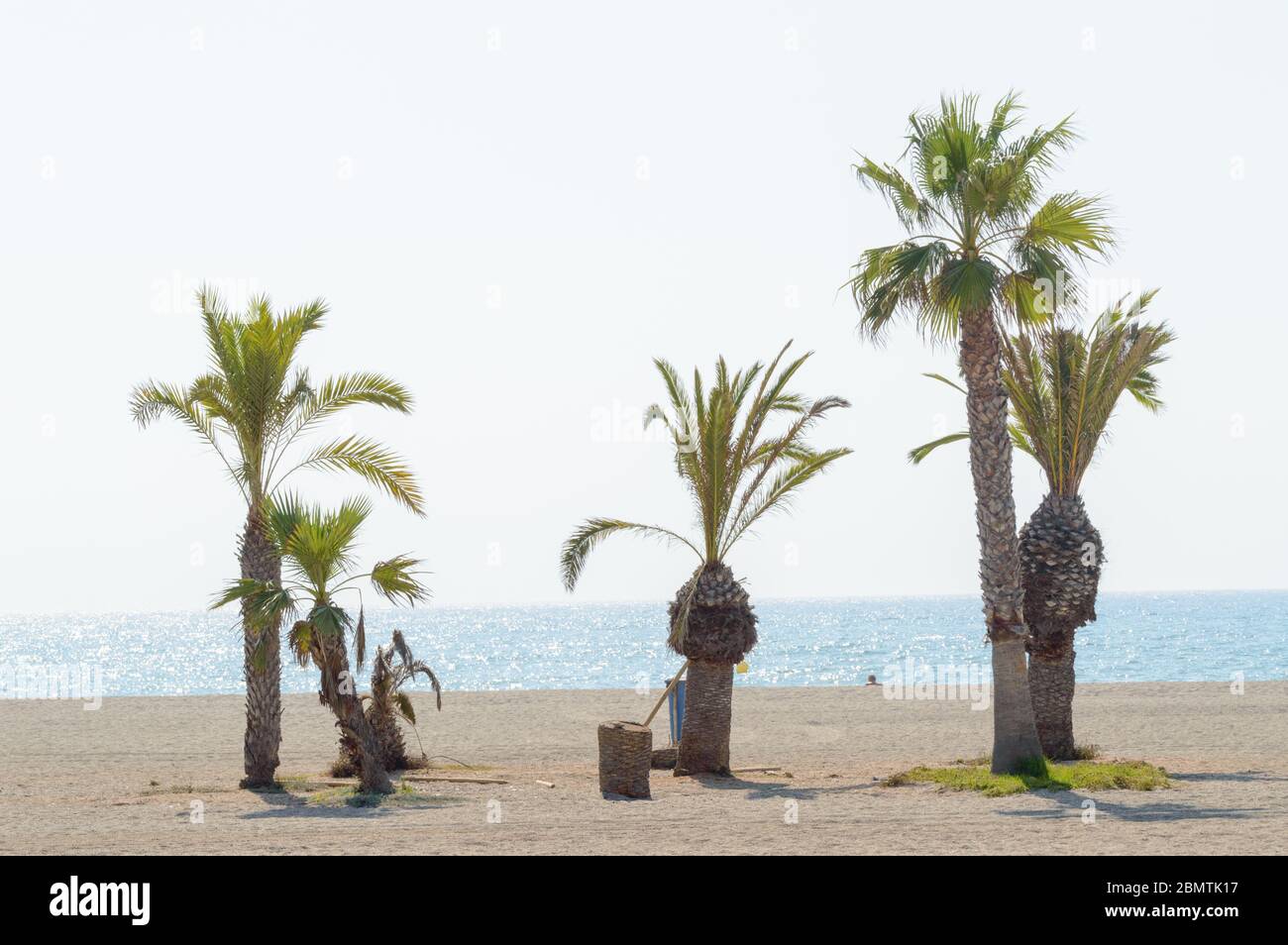 Komplett Leerer Strand Aufgrund Des Alarmzustandes Mit Drei Palmen Am Roquetas De Mar Strand. 14. August 2019. Roquetas De Mar Almeria. Spanien. Stockfoto