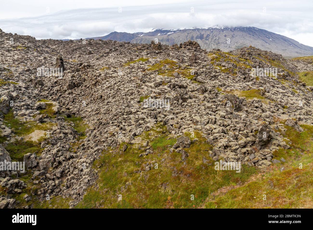 Lavafeld hinter Djúpalónssandur und am Fuße der Snæfellsjökull, Snæfellsnes Halbinsel, Island. Stockfoto