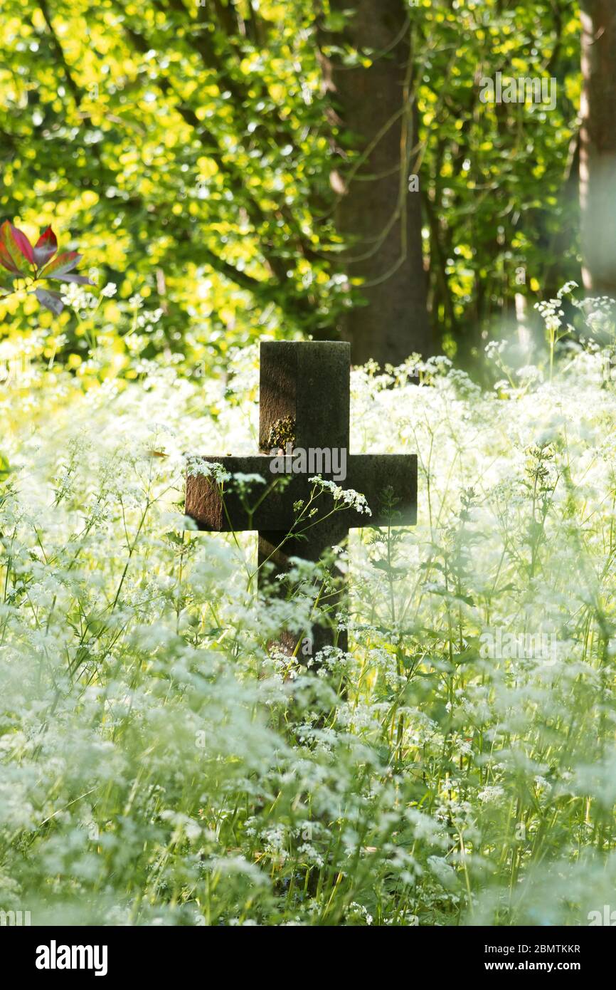 Altes Steinkreuz oder Kruzifix auf einem Friedhof mit wilden Blumen. Kopierbereich, vertikal. Stockfoto