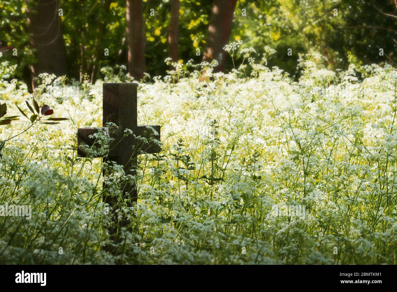 Altes Steinkreuz oder Kruzifix auf einem Friedhof mit wilden Blumen. Kopierbereich. Stockfoto