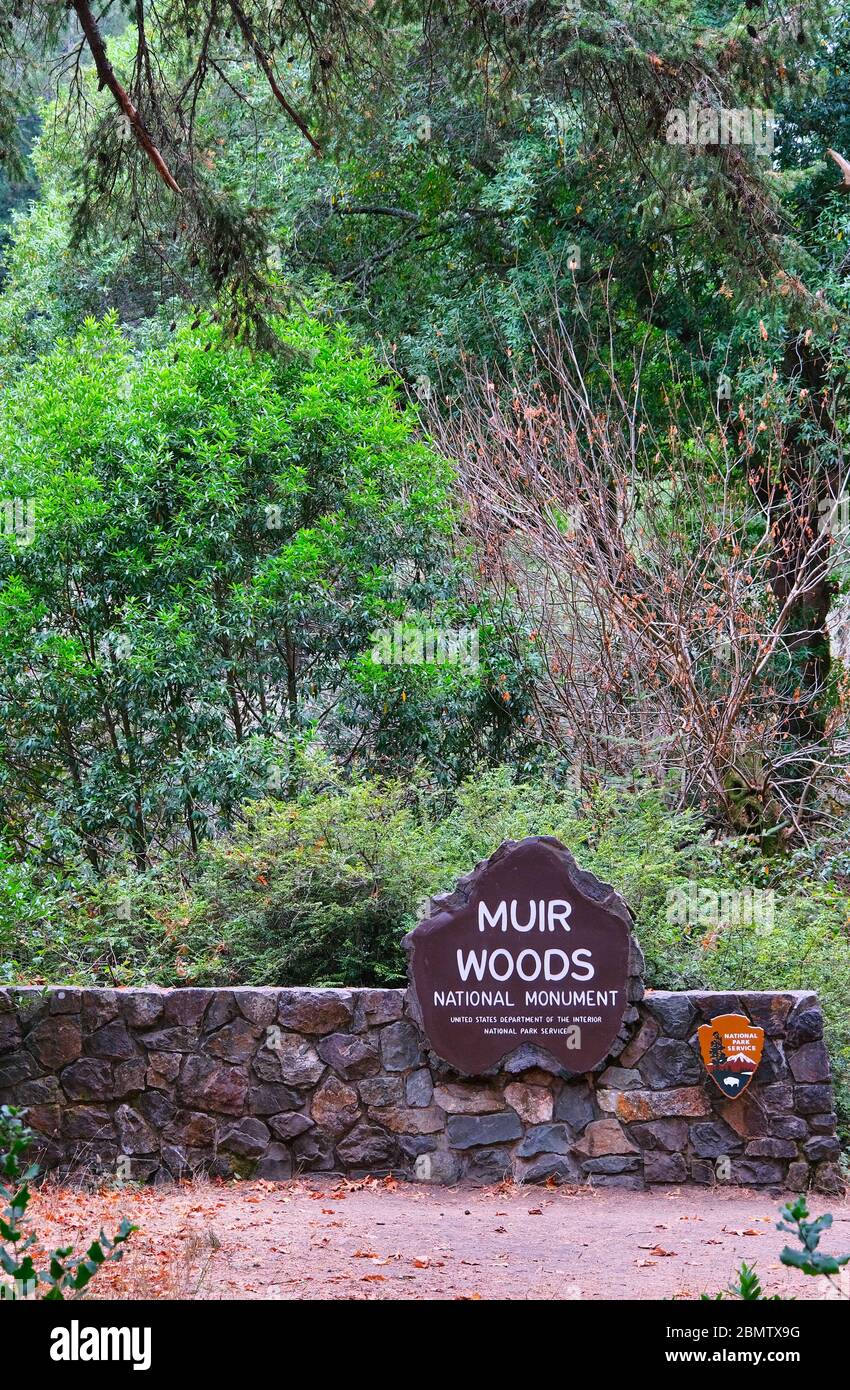 Muir Woods National Monument Stockfoto