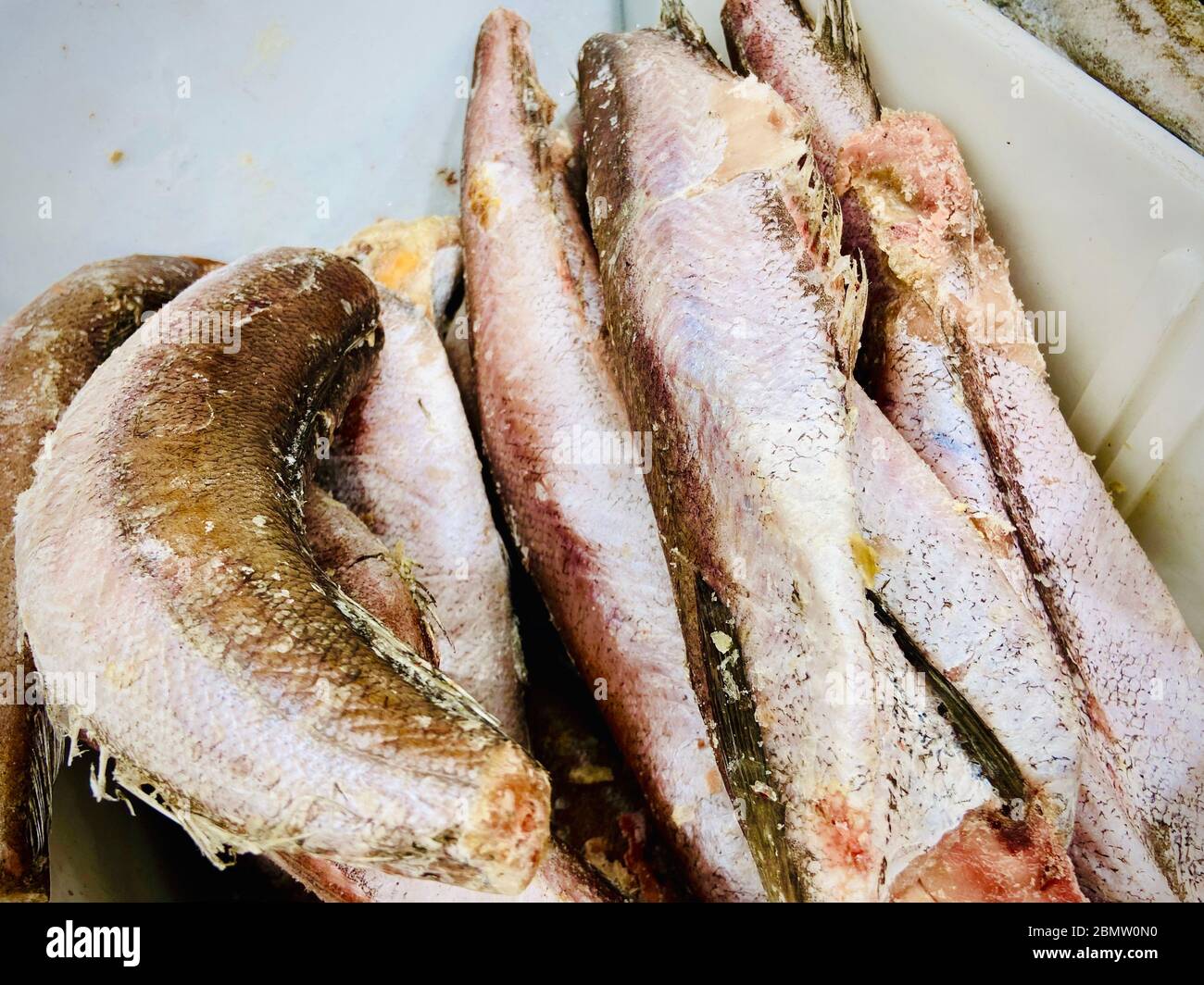 Fisch, Meeresfrüchte und Fisch Halbzeuge. Supermarkt. Handy-Foto Stockfoto