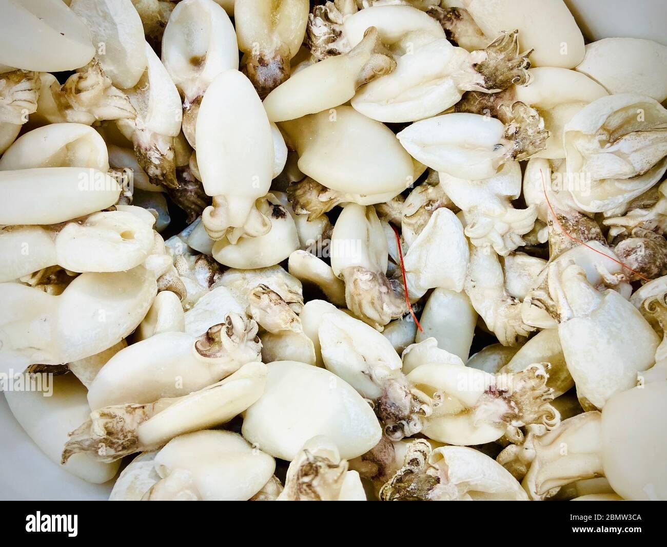 Fisch, Meeresfrüchte und Fisch Halbzeuge. Supermarkt. Handy-Foto Stockfoto