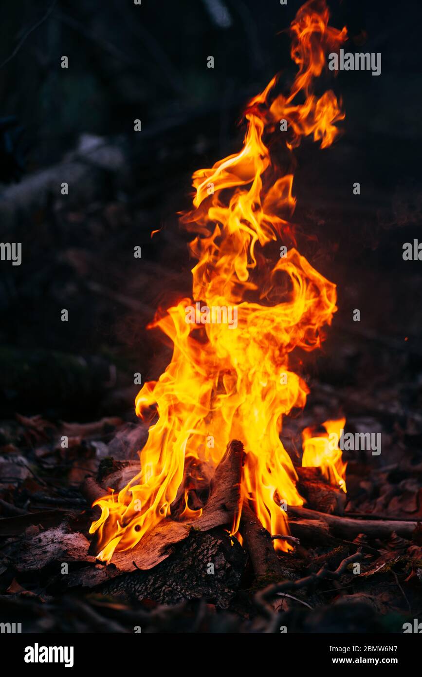 Brennendes Holz am Abend im Wald. Lagerfeuer im touristischen Camp in der Natur. Grillen und Kochen im Freien frische Luft. Flamme und Feuer Funken im Dunkeln Stockfoto