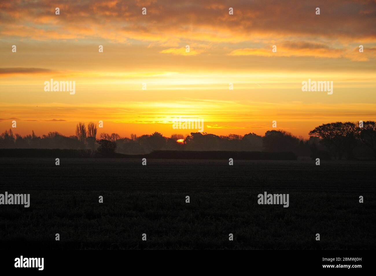 Sonnenaufgang Anfang Dezember. Coastal Plain, West Sussex, England. Stockfoto
