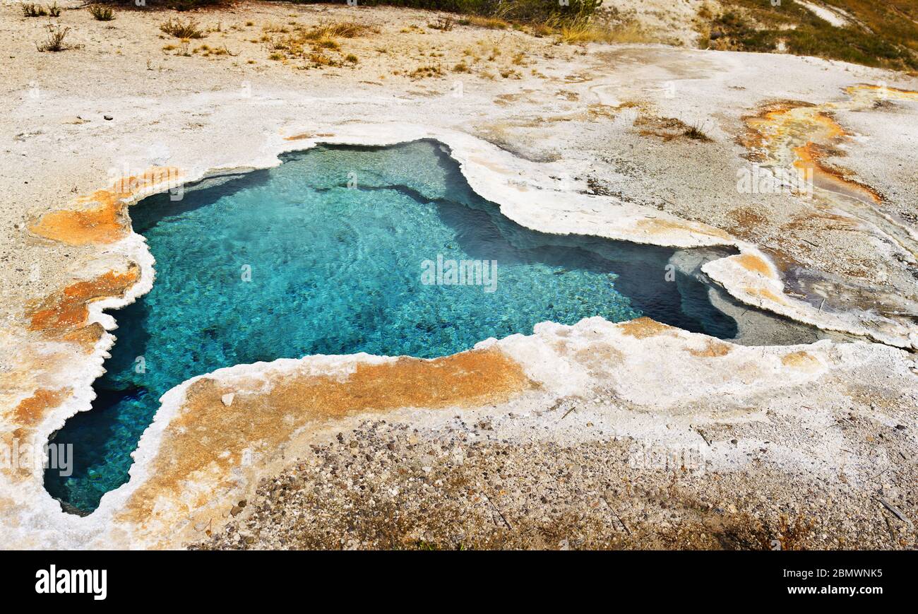 Blue Star Hot Spring, in der Nähe von Old Faithful, Yellowstone National Park, Wyoming, USA Stockfoto