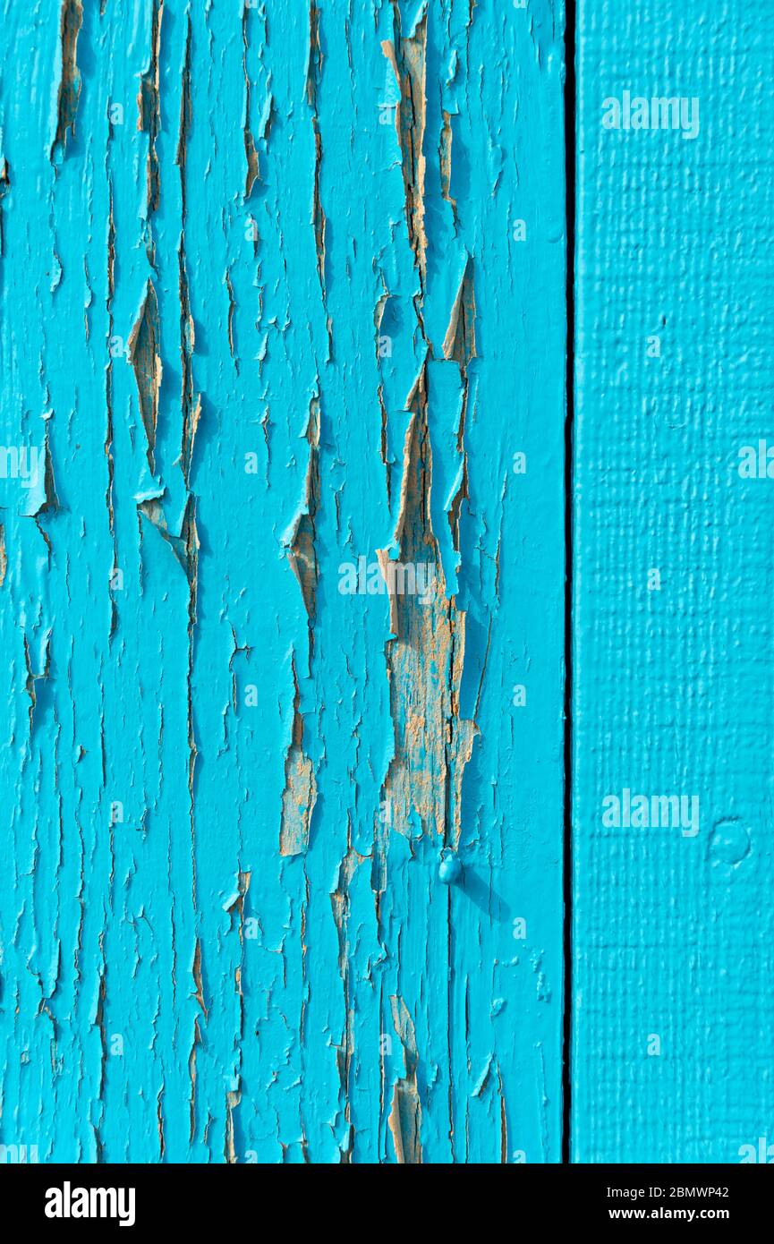 Blaue Farbe auf Holz abblätternde, Nahaufnahme. Stockfoto