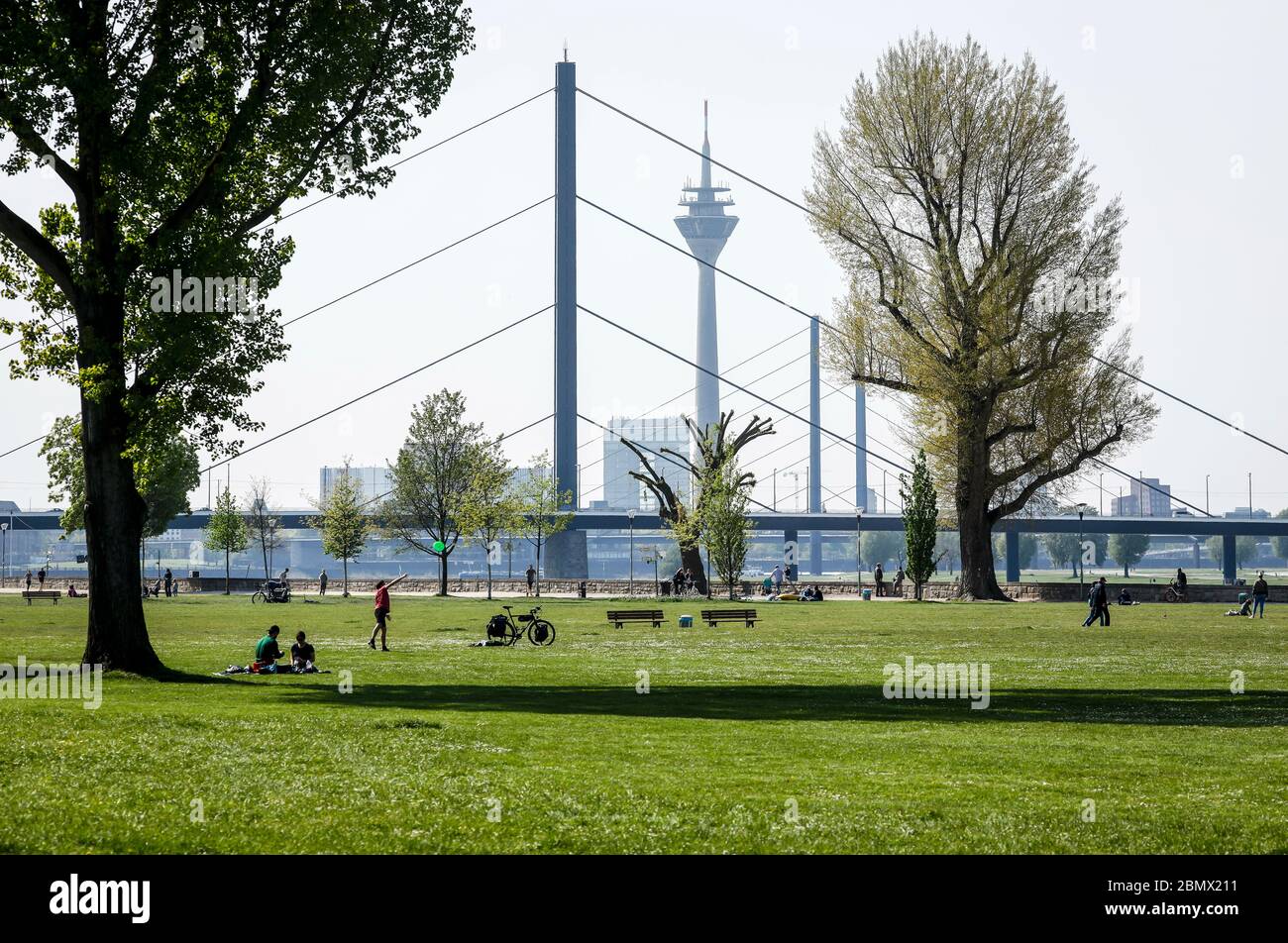 Düsseldorf, Nordrhein-Westfalen, Deutschland - Rheinpark Golzheim in Zeiten der Korona-Pandemie mit Kontaktverbot, hinter Oberkasseler Brücke, R Stockfoto