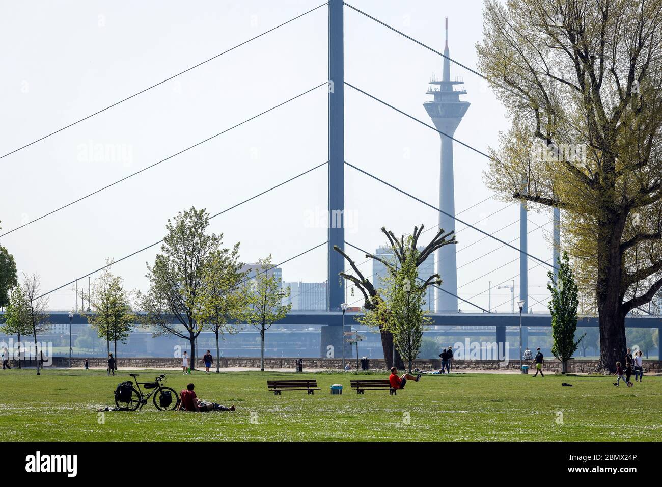 Düsseldorf, Nordrhein-Westfalen, Deutschland - Rheinpark Golzheim in Zeiten der Korona-Pandemie mit Kontaktverbot, hinter Oberkasseler Brücke, R Stockfoto