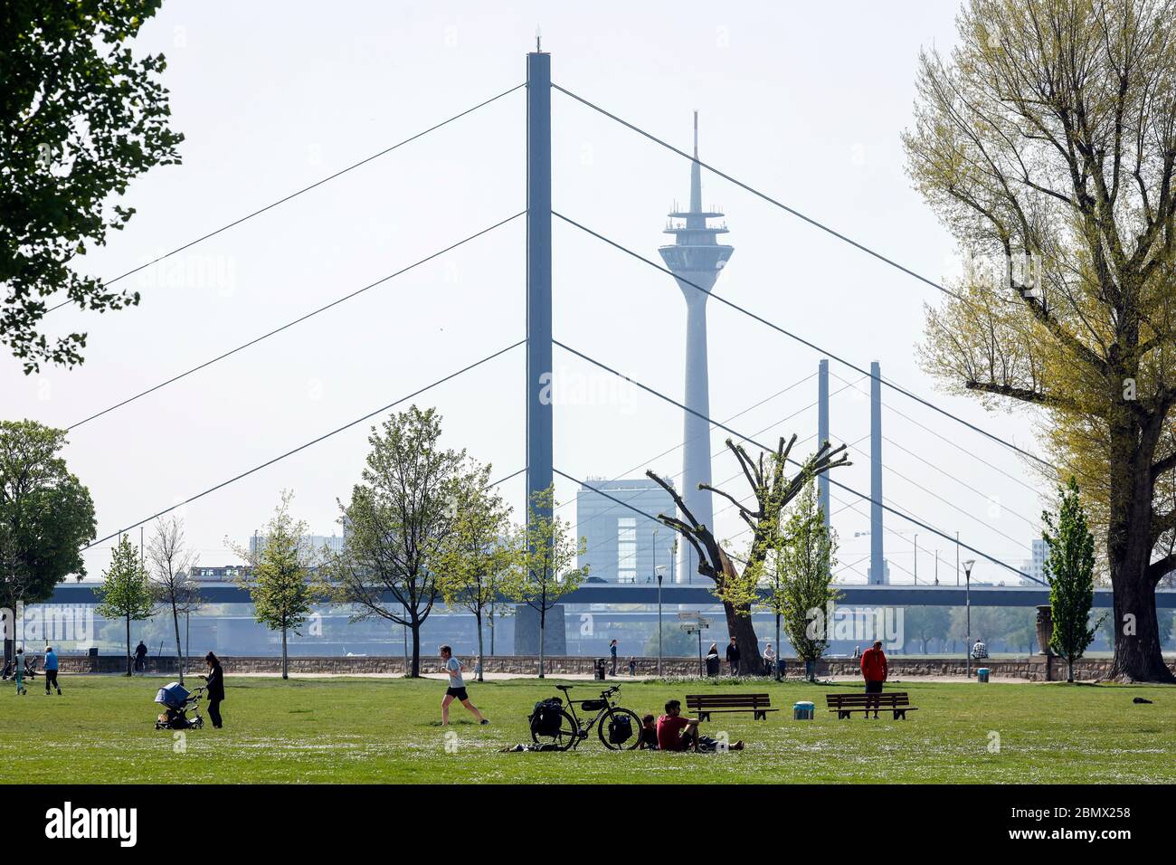 Düsseldorf, Nordrhein-Westfalen, Deutschland - Rheinpark Golzheim in Zeiten der Korona-Pandemie mit Kontaktverbot, hinter Oberkasseler Brücke, R Stockfoto