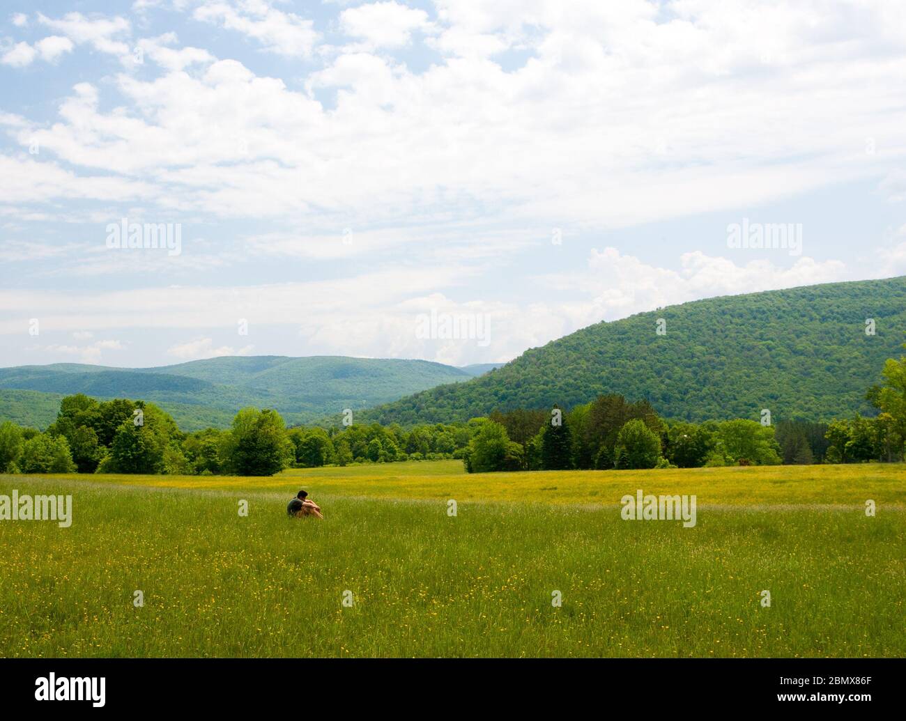 Ein Mann sitzt allein in einem Feld von Gras und gelben Blumen, mit rollenden, baumbedeckten Hügeln und einem teilweise bewölkten Himmel in der Ferne, in den Catskills Stockfoto