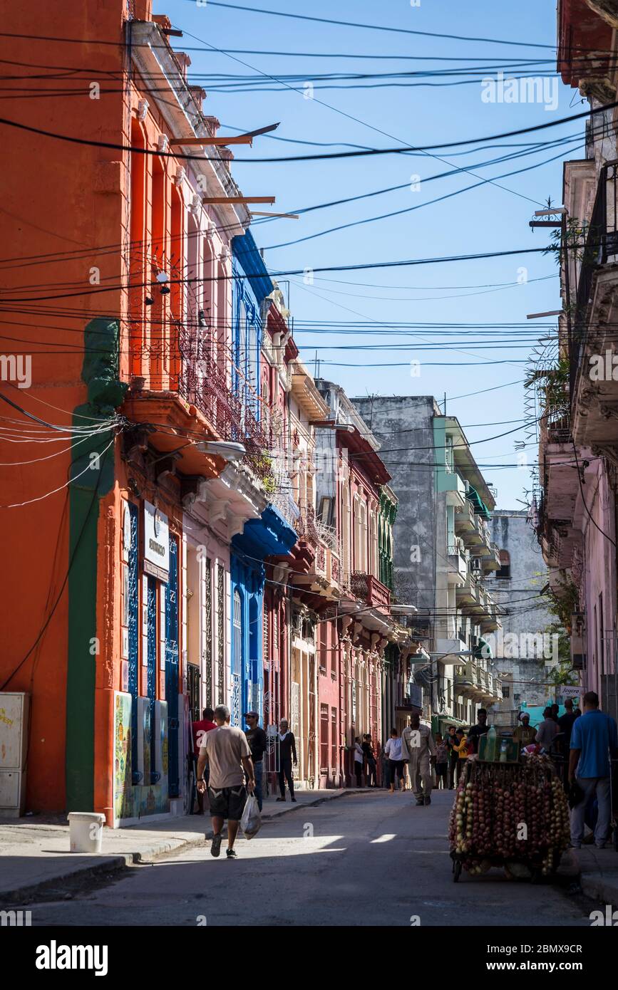Straße mit bunten Häusern, Havana Centro, Havanna, Kuba Stockfoto