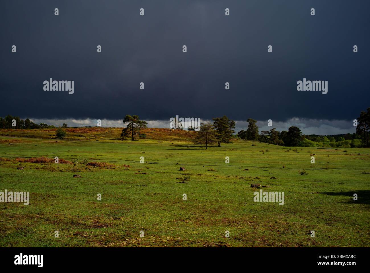 UK Wetter, sehr dunkle Gewitterwolken nähern sich über dem New Forest Heide England verursacht einen spektakulären Kontrast von dunkel und hell. Stockfoto