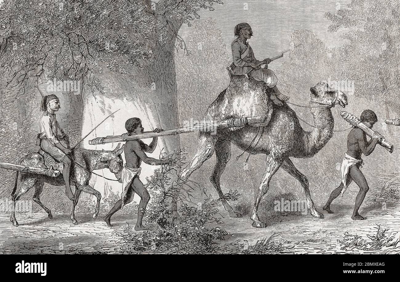 Gefangene Männer aus Keri im Sudan werden von türkischen Sklavenhändlern in die Sklaverei geführt. Nach einem werk des französischen Malers und Illustrators Karl Girardet um 1855, 1813 - 1871. Stockfoto