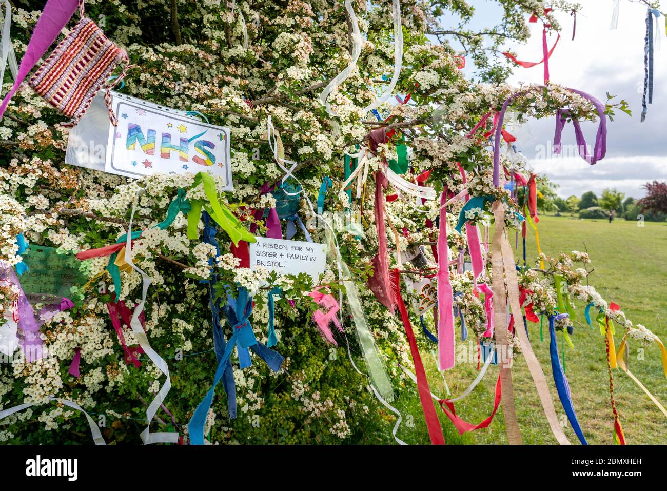 Wish Baum Weißdorn bedeckt im Mai blühen bunte Bänder und Wünsche auf den Downs in Bristol während der Corinavirus-Pandemie von 2020 Stockfoto