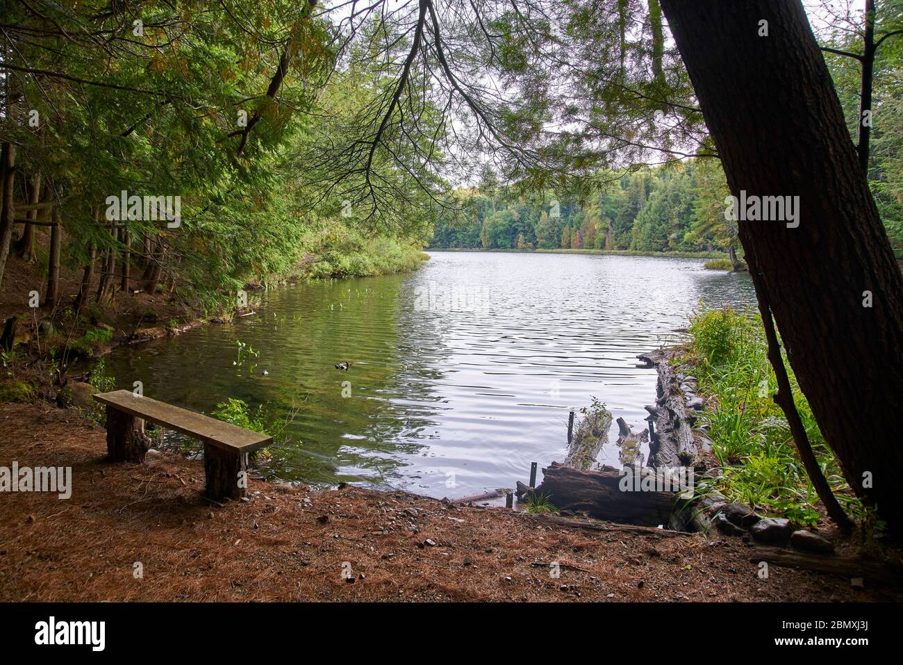 Kanada-Reise Stockfoto