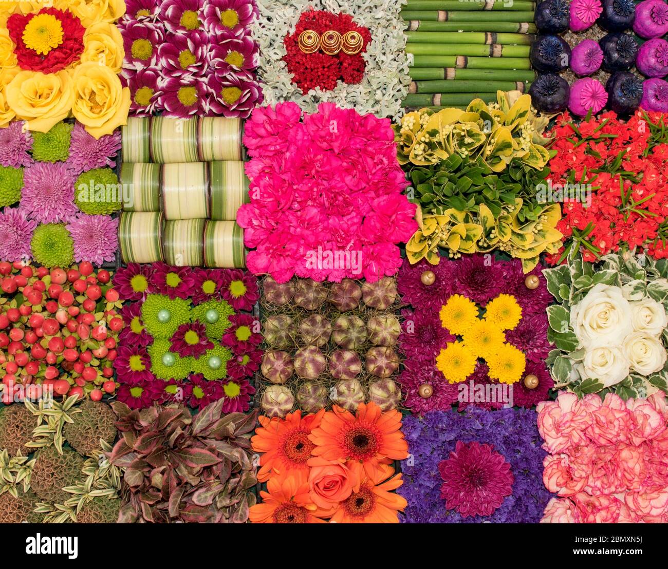Blumen, Pflanzen und Blätter wurden zu einer bunten Collage arrangiert. Stockfoto