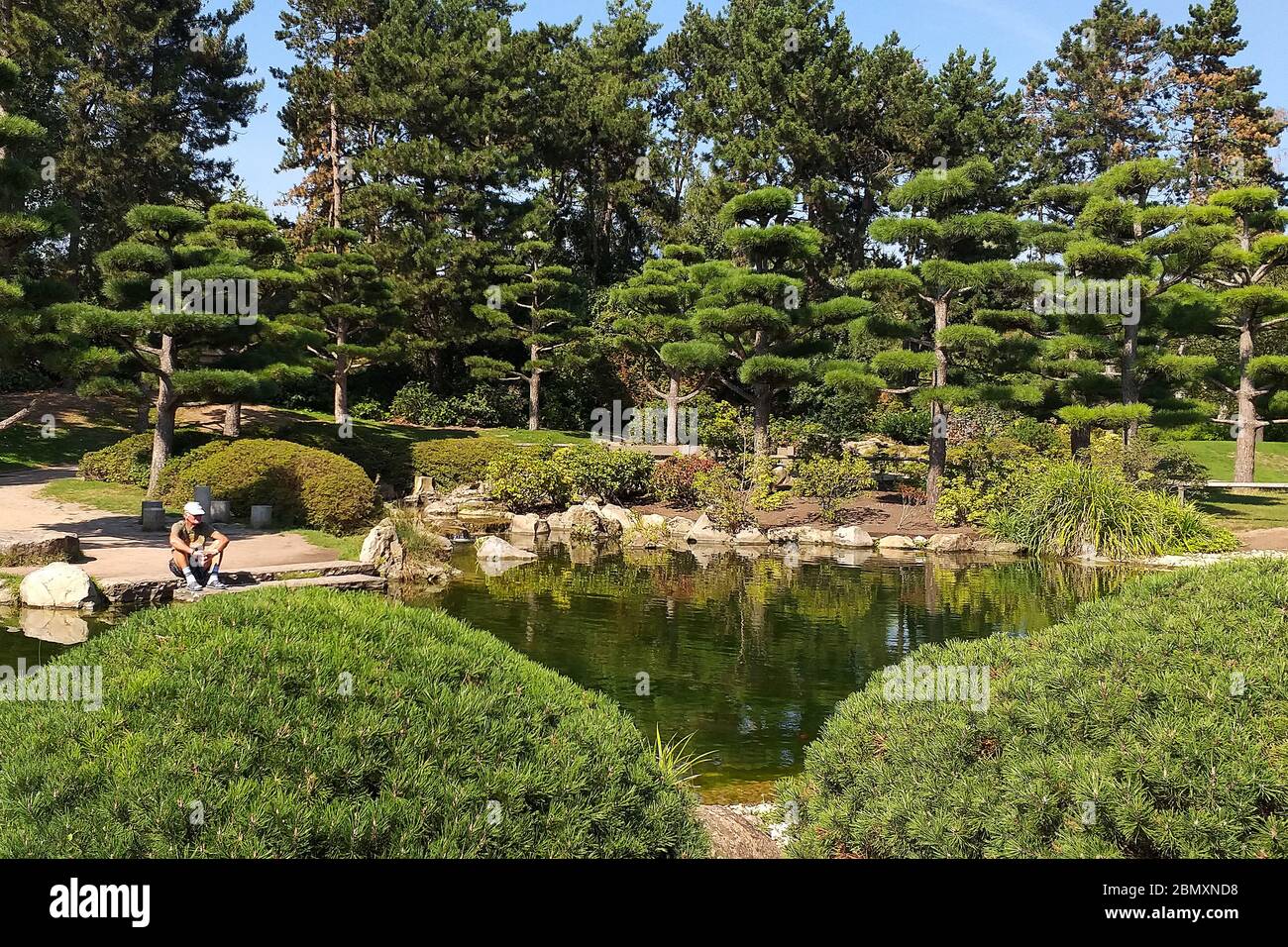 Fischbeobachtung in einem Teich im Nordpark in Düsseldorf, Deutschland Stockfoto