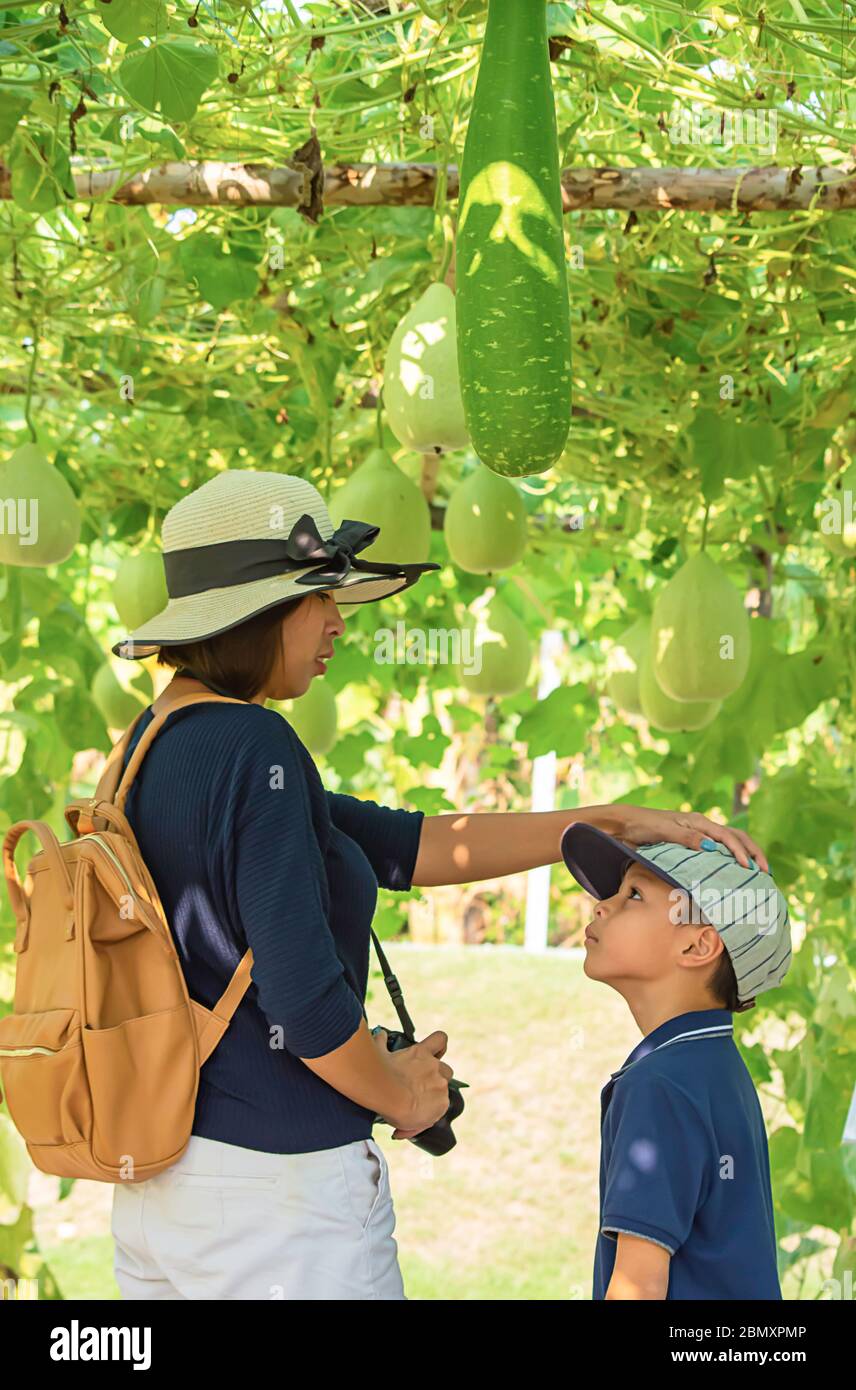 Mutter und Sohn im Winter melone Farm Stockfoto