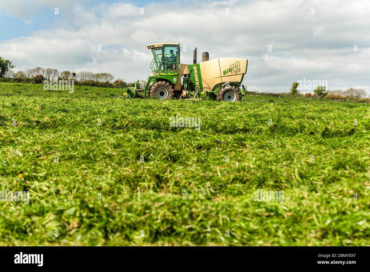 Timoleague, West Cork, Irland. Mai 2020. Ein Krone Big M 400 selbstfahrender Mäher, angetrieben von Finbarr O'Donovan von A & F O'Donovan Contractors, Clonakilty, schneidet Gras für Silage auf dem Hof von David Deeasy von Timoleague. Das Gras wird morgen gerettet. Credit: AG News/Alamy Live News Stockfoto