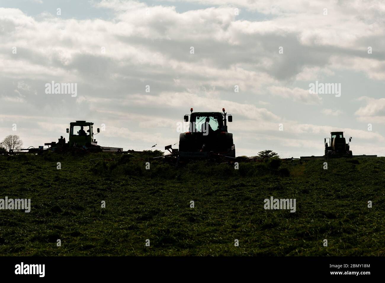 Timoleague, West Cork, Irland. Mai 2020. Gras wird auf dem Hof von David Deasy von Timoleague geschnitten und für Silage belüftet. Das Gras wird morgen gerettet. Credit: AG News/Alamy Live News Stockfoto
