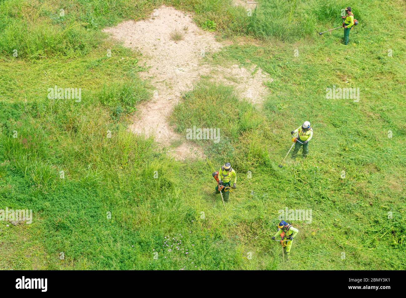 Team von Männern in Arbeitskleidung und mit professionellen Bürstenschneidern Schneiden das grüne Gras eines verlassenen Website ausgestattet Stockfoto