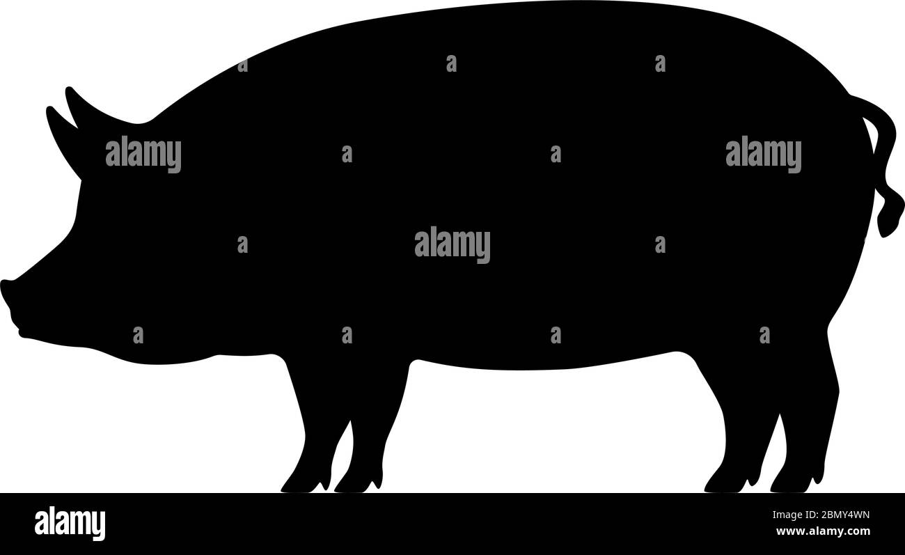  Schwein Silhouette. Vektor-Illustration von schwarzen Symbol Logo Illustration 