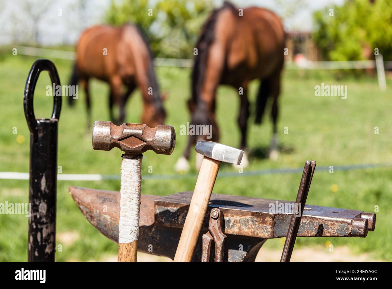 Werkzeuge für die Arbeit mit dem Schmied: Amboss, Zange, Hammer und Hufeisen. Im Hintergrund grasen zwei Pferde auf einer grünen Wiese. Stockfoto