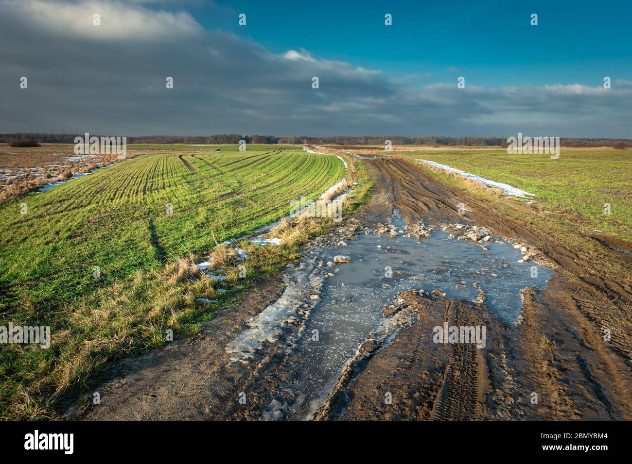 Eine gefrorene Pfütze auf einem Feldweg durch grüne Felder, Abendwolken auf blauem Himmel Stockfoto