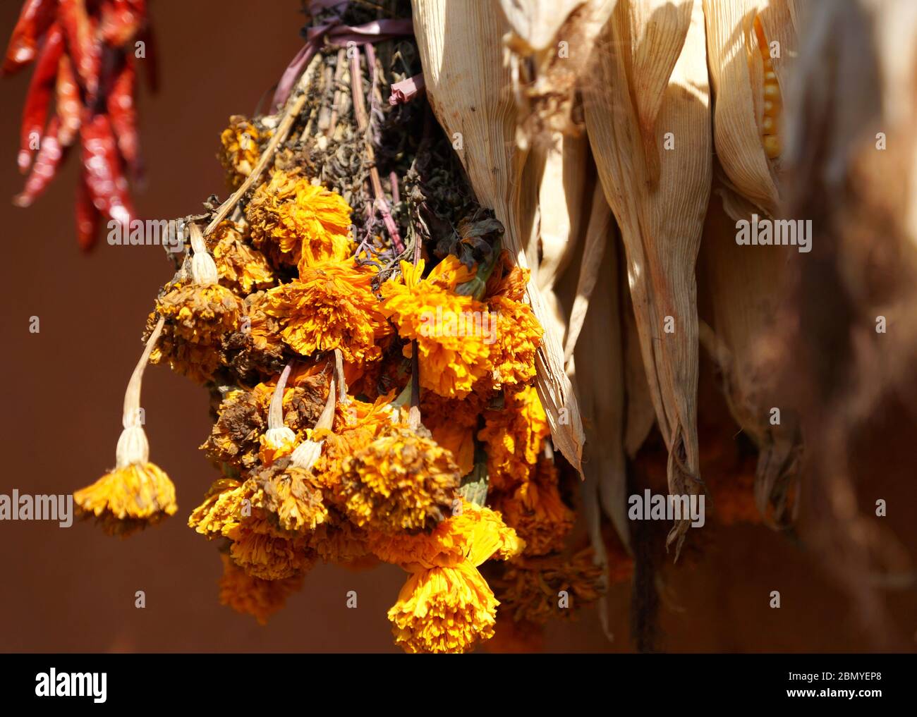 Lokale Produkte von Gewürzen und Blumen, die nach der Ernte in ländlichen nepalesischen Dörfern getrocknet werden. Stockfoto