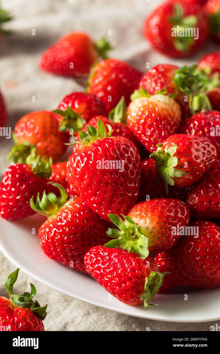 Rohe rote Bio Erdbeeren in einem Bündel Stockfoto
