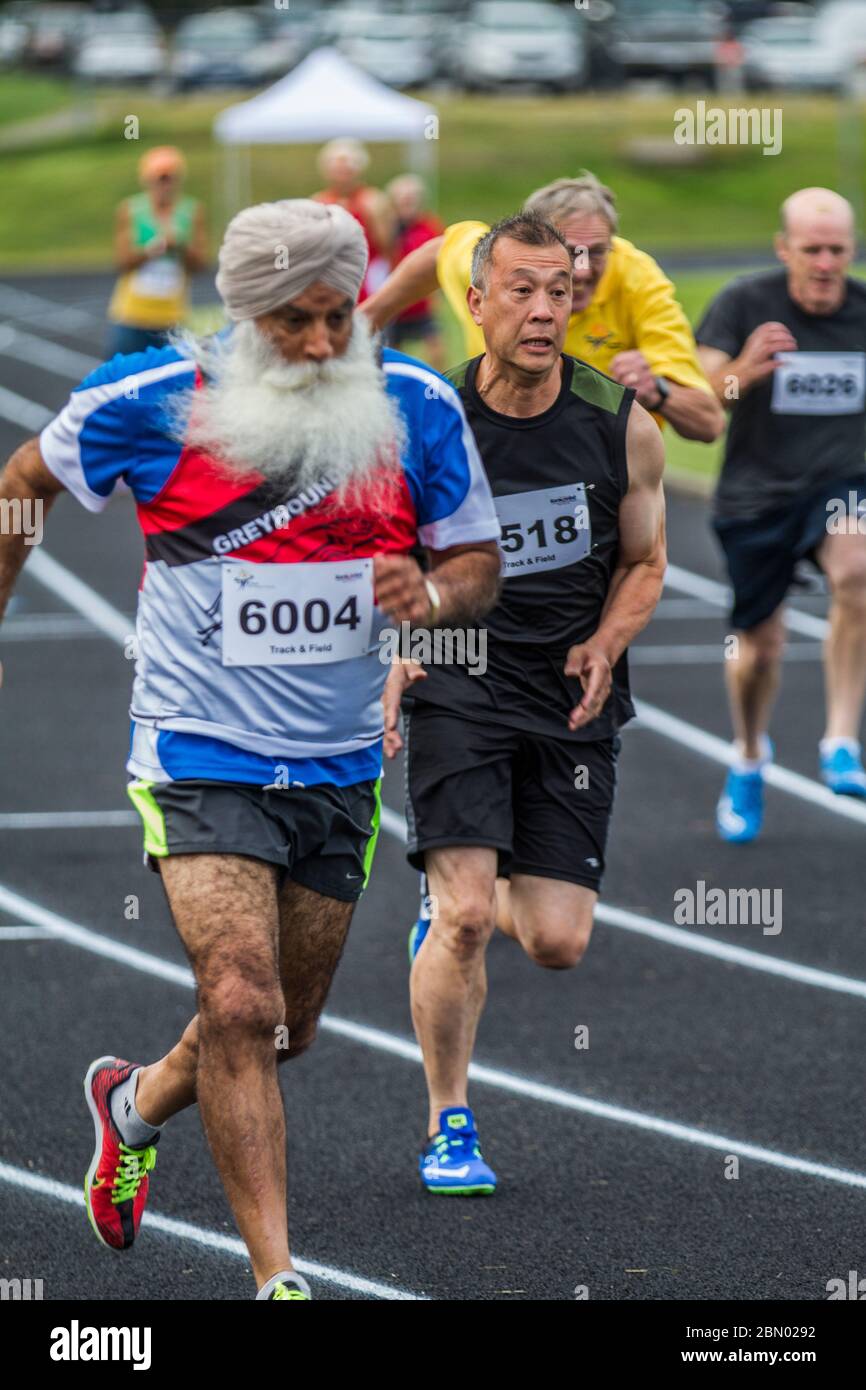 Ältere Männer ( 60 bis 70 ), die im 200 M Rennen antreten. Ostindischer Läufer mit großem weißen Bart. Stockfoto