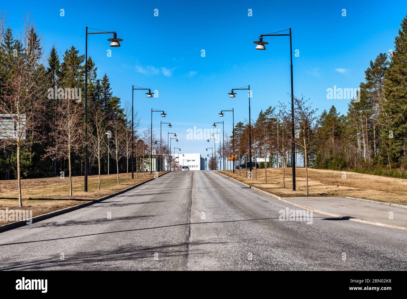 Symmetrisch schöne Reihe von Straßenlaternen auf beiden Seiten der Straße mit Waldbäumen platziert. Straße führt zum Horizont, sonnigen Tag, moderne frische Stadt Stockfoto