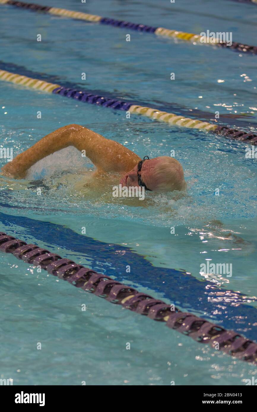 Männer: Schwimmwettbewerb im Freistil für 65 bis 70 Jahre. Stockfoto