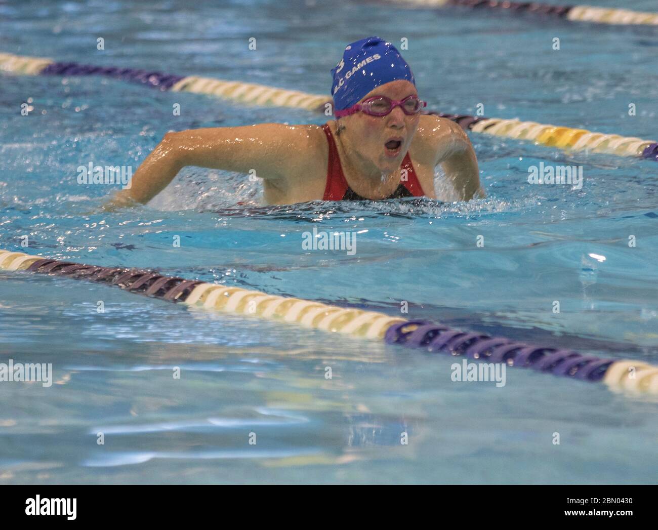 Senior Ladies Butterlfy Schwimmwettbewerb Stockfoto