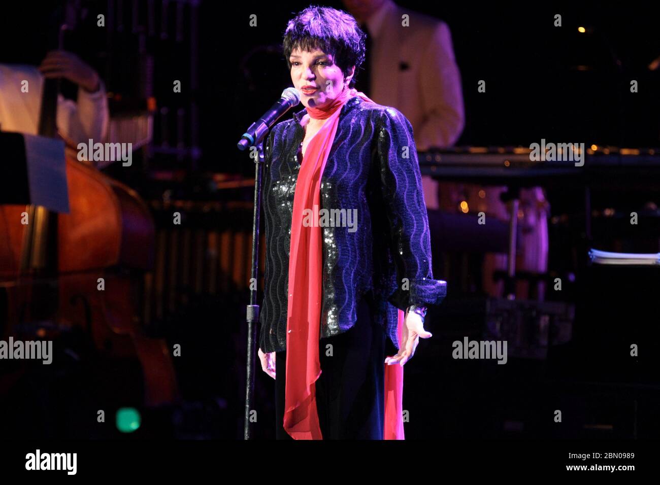 RIO DE JANEIRO, 29.09.2012: Liza Minelli tritt in der Citibank Hall in Rio de Janeiro auf (Néstor J. Beremblum / Alamy News) Stockfoto